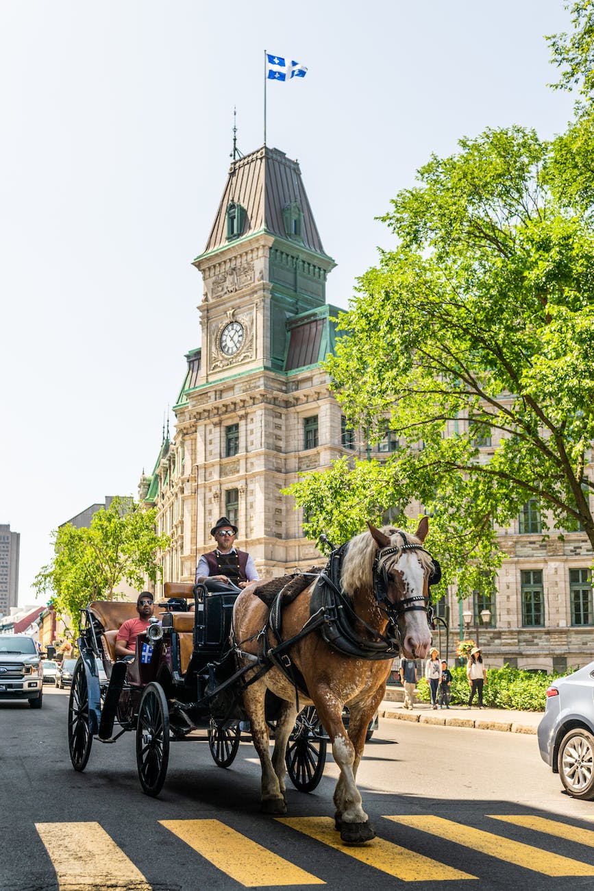 men riding a horse carriage