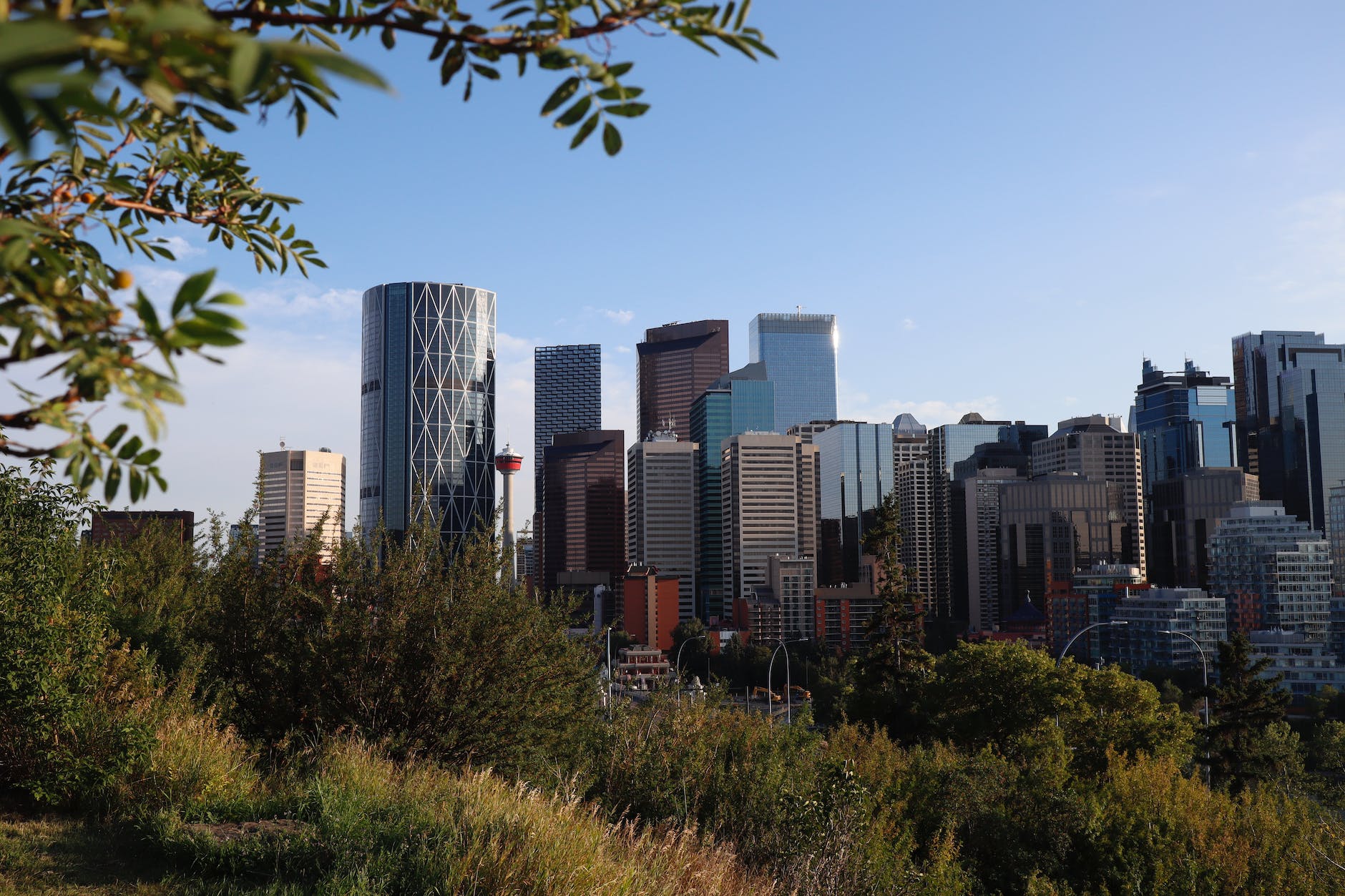 city buildings under the blue sky