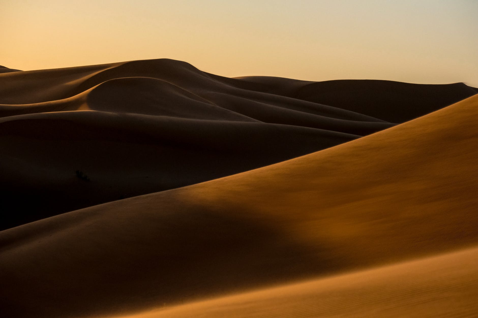 closeup photo of desert sands